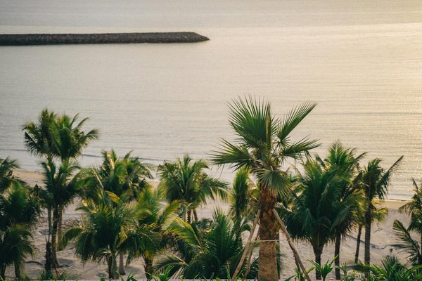 Quelle est l'offre la plus avantageuse en 2024 chez MSC croisières ?